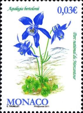 Bertolonis Columbine, Mercantour-National-Park
