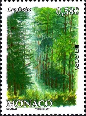Mountain Forest