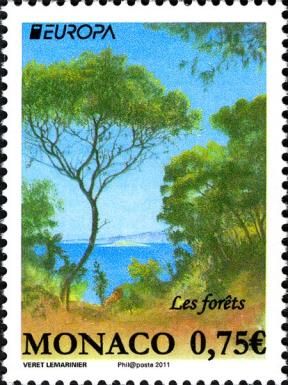 Mediterranean Forest