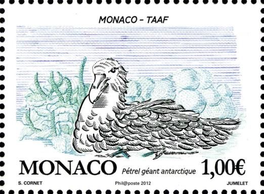 Southern Giant Petrel (Macronectes giganteus)
