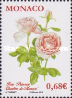 The 'Princess Charlene of Monaco' Rose
