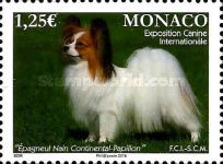 International Dog Show
