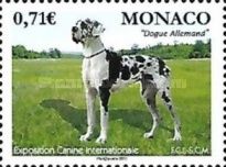 International Dog Show