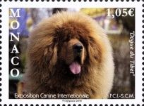 Tibetan Mastiff International Dog Exposition