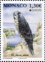 Europa (C.E.P.T.) 2019 - Peregrine Falcon (Falco peregrinus)