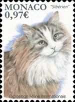 Monaco International Cat Show 2020