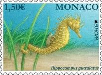 Europa (C.E.P.T.) 2021 - Hippocampus guttulatus
