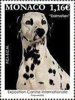 International Dog Show 2022 : Dalmatian