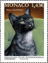 International Cat Show