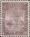 Traveller's Tree and Zebu