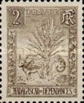 Traveller's Tree and Zebu
