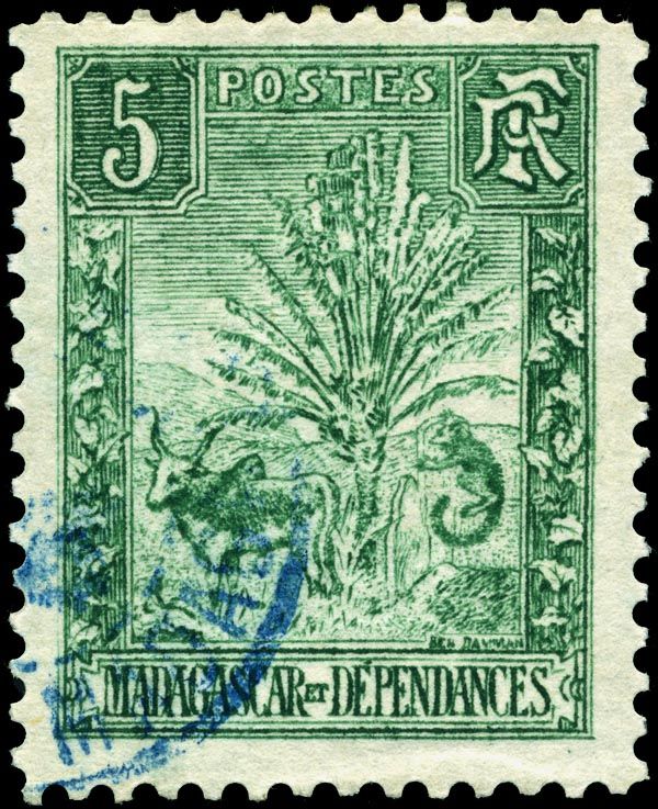 Traveller's Tree and Zebu