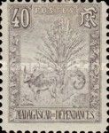 Traveller's Tree and Zebu