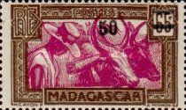 Zebu (Bos primigenius indicus) overprinted