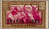 Zebu (Bos primigenius indicus) overprinted