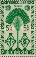 Travelers' Tree