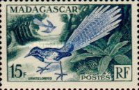 Long-tailed Ground-roller (Uratelornis chimaera)