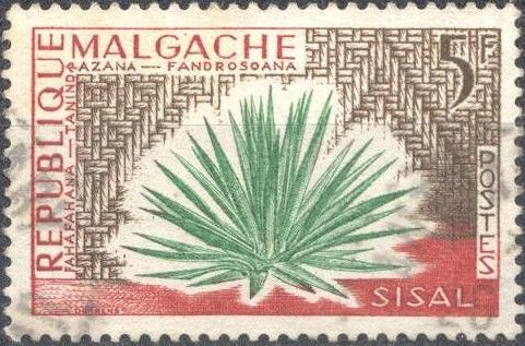 Sisal