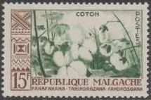 Cotton