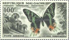 Madagascan Sunset Butterfly (Chrysiridia madagascariensis)