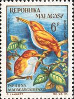 Madagascar Pygmy-Kingfisher (Ispidina madagascariensis)