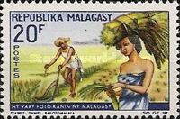 Rice Harvest