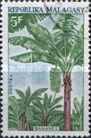Bananas