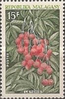 Lychees