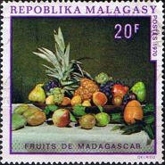 Fruits from Madagascar