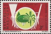 Protect the Forest