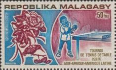 Male Table-Tennis Player and Hummingbird on Hibiscus flower