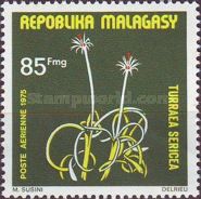 Turraea sericea