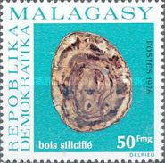 Petrified Wood