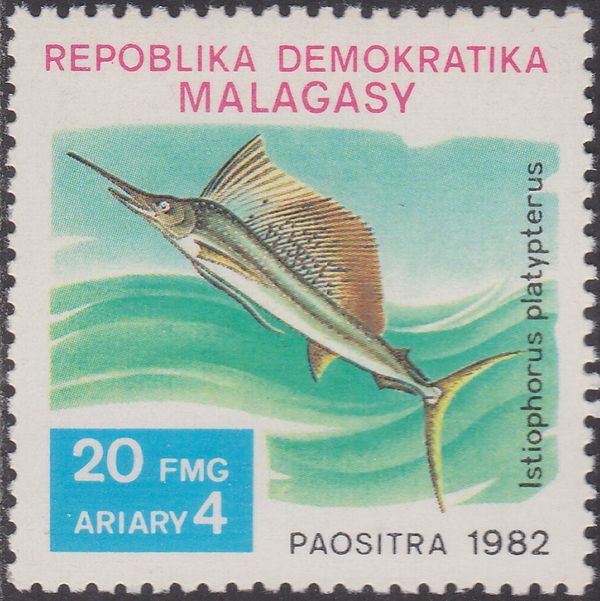 Indo-Pacific Sailfish (Istiophorus platypterus)