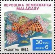 Red Lionfish (Pterois volitans)