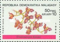 Grammangis ellisii