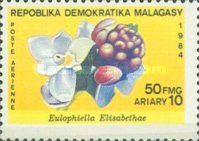 Eulophiella elisabethae