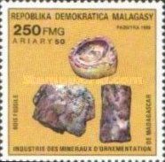 Fossil Wood