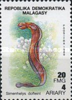 Snubnosed Eel (Simenchelys dofleini)