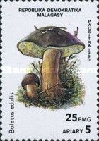 Cep (Boletus edulis)