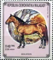 Draft Horse (Equus ferus caballus)