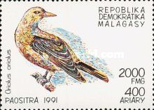Golden Oriole (Oriolus oriolus)