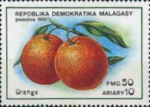 Oranges