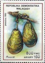 Avocados