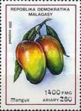 Mangos