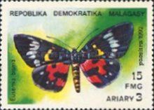 Moth (Eusemia bisma)