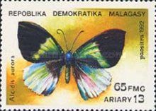 Moth (Alcides aurora)