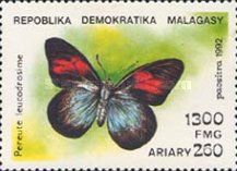 Redbanded Pereute Butterfly (Pereute leucodrosime)