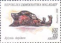Depilatory Sea Hare (Aplysia depilans)