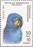 Hyazinth Macaw (Anodorhynchus hyacinthinus)
